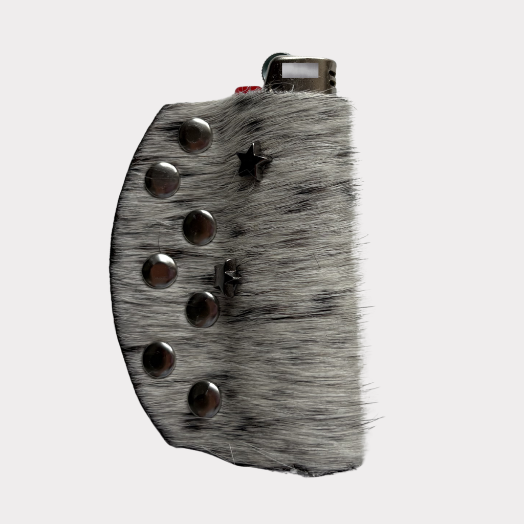 Silver Dust Lighter Case