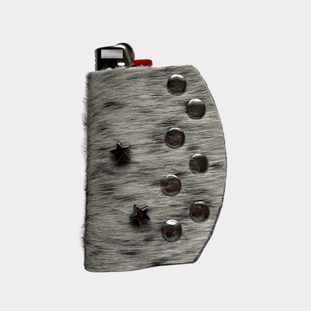 Silver Dust Lighter Case