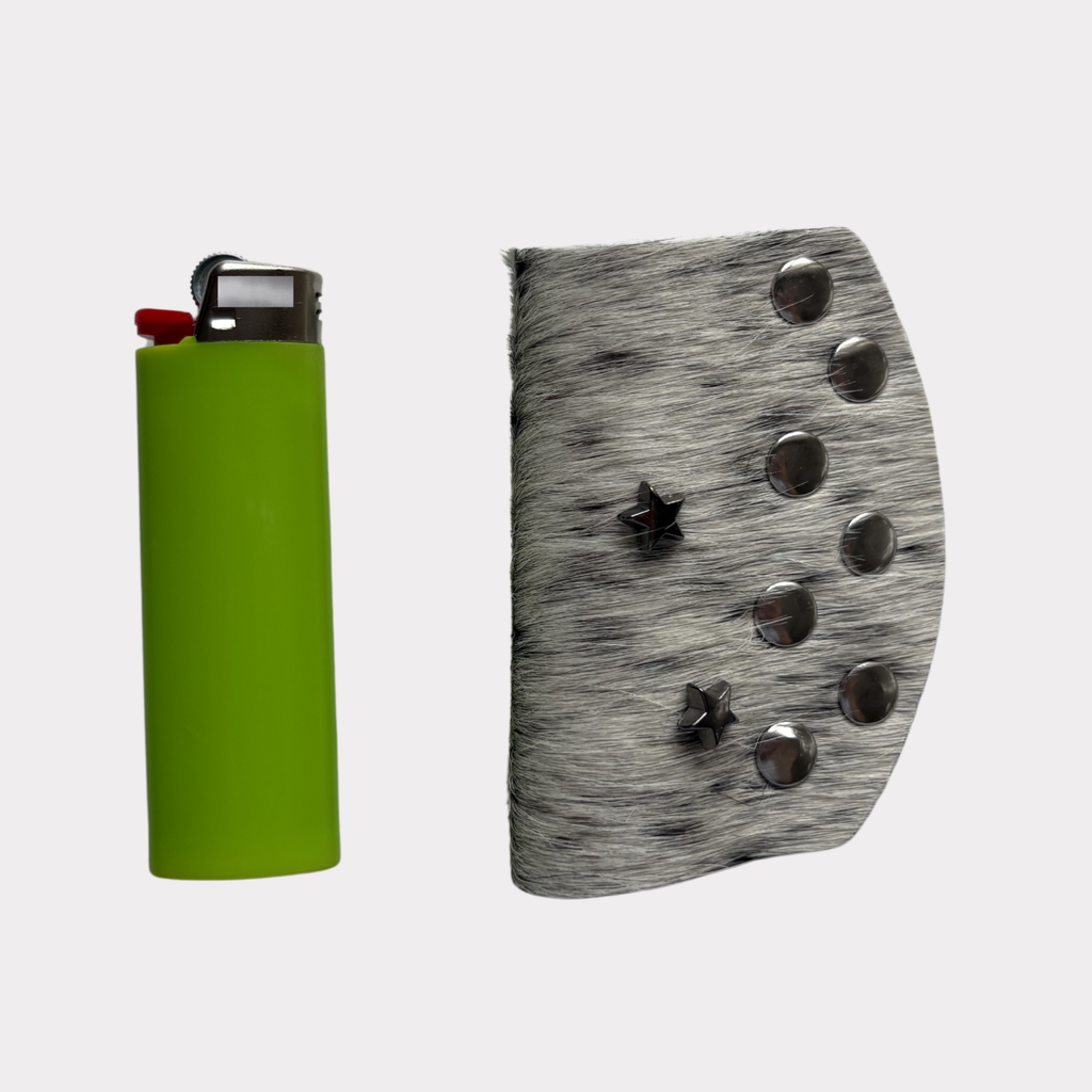 Silver Dust Lighter Case